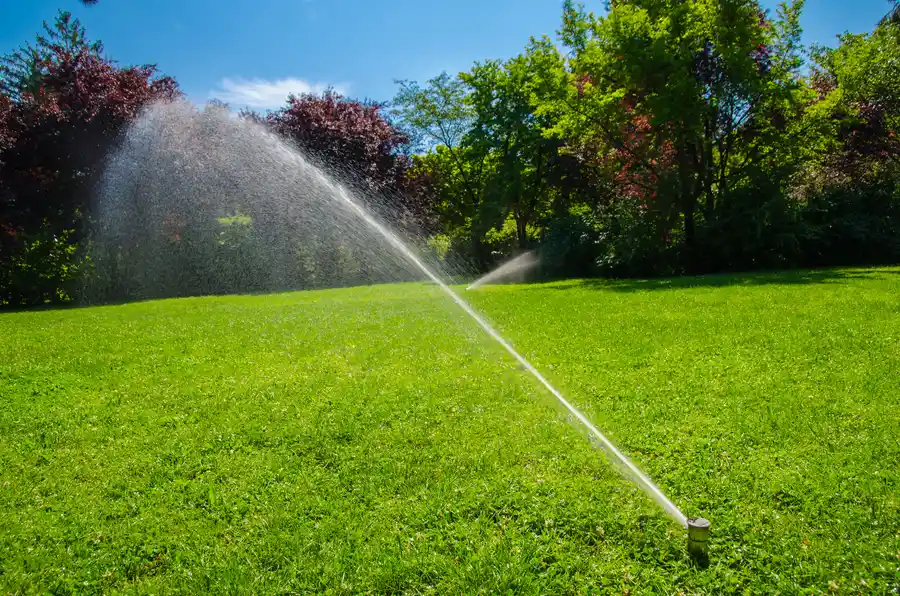 The Importance Of Professional Irrigation System Setup in Grand Prairie, TX The Importance Of Professional Irrigation System Setup in Grand Prairie, TX