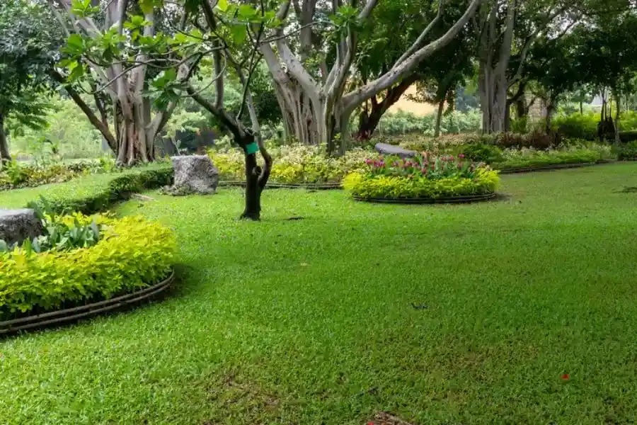 Top-rated Landscape Maintenance Grand Prairie, TX Top-rated Landscape Maintenance Grand Prairie, TX